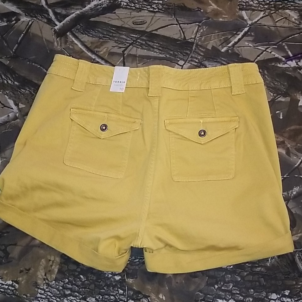 Torrid Shorts - Picture 2 of 2